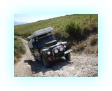 SardKors2010- (104)-web1.jpg